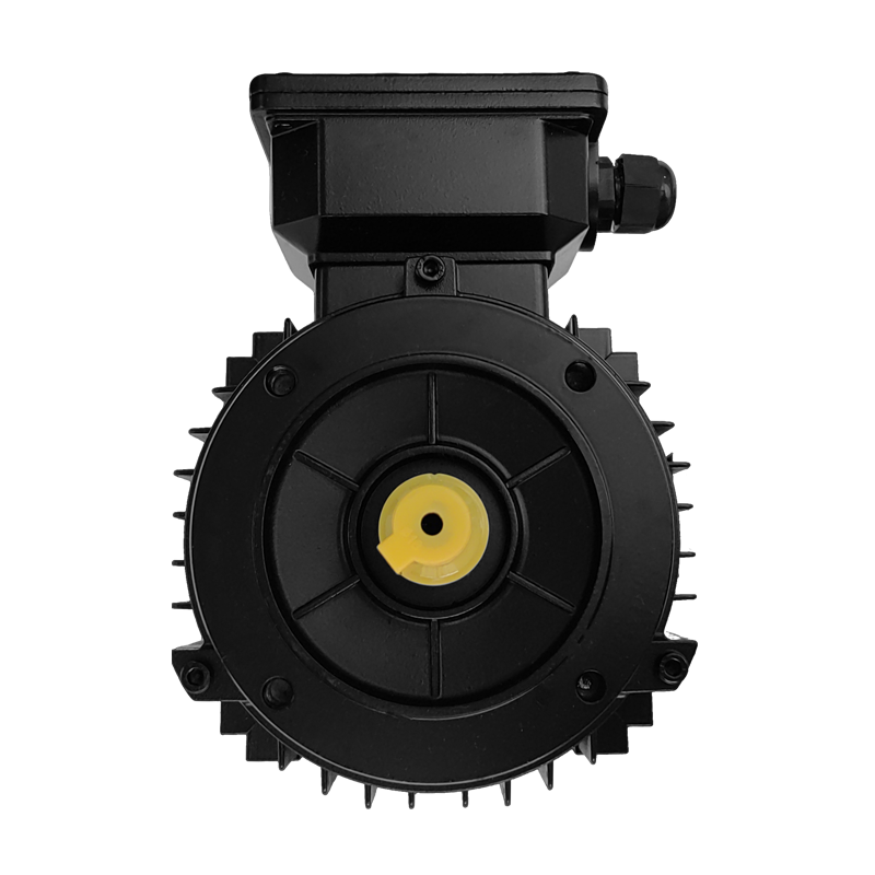 High Efficiency MSE5/4 Aluminum Housing Three Phase Motor, For Water Pump IE5/4