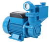 WZB- Factory-Made Electric Self-Priming Peripheral Pump for Domestic Use 