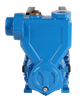 PM Cast Iron Self-Priming Peripheral Water Pumps