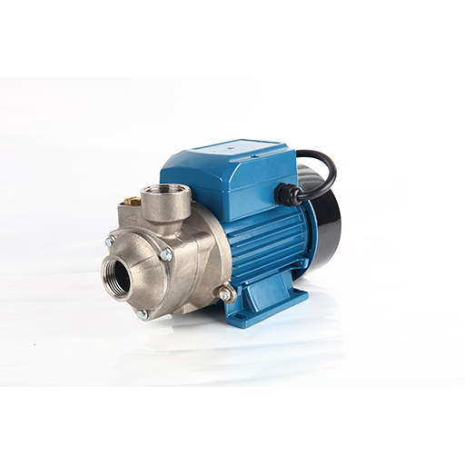 QBS Single-Phase Cast Iron Booster Peripheral Clean Water Pump 