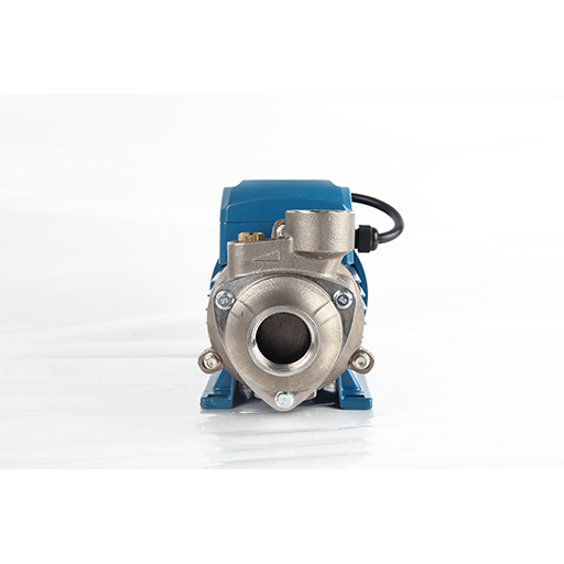 QBS Single-Phase Cast Iron Booster Peripheral Clean Water Pump 