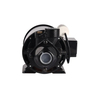 Cast Iron Peripheral Water Pump