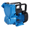 PM Cast Iron Self-Priming Peripheral Water Pumps