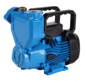 PM Cast Iron Self-Priming Peripheral Water Pumps