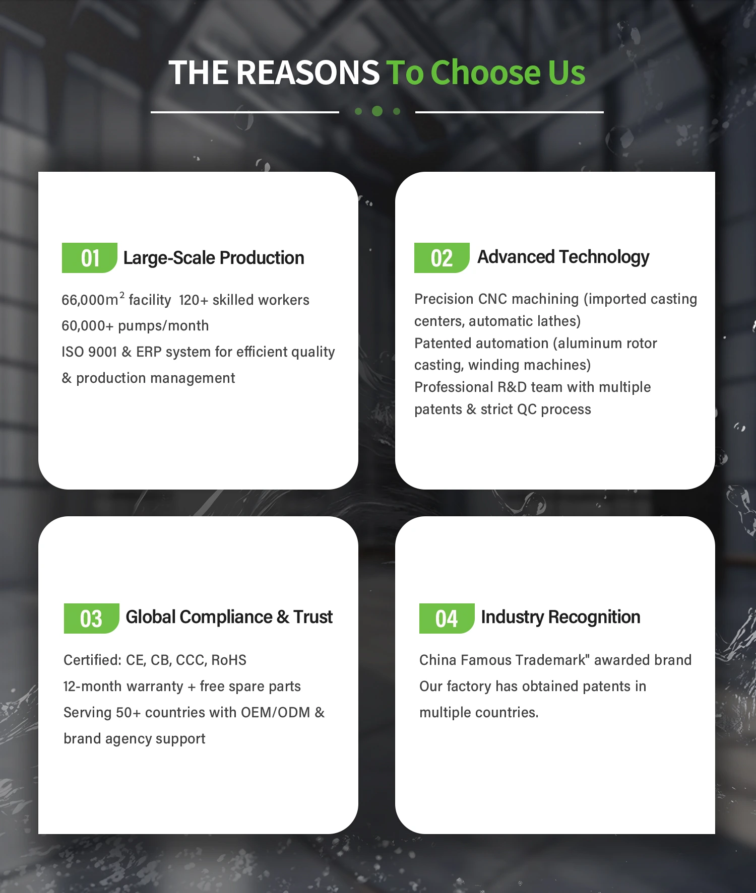 company profile2.webp