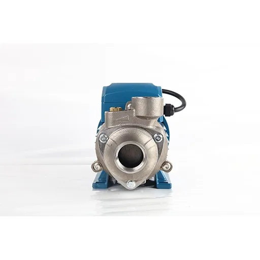 YINJIA QBS stainless steel peripheral pump front view for clean water supply and corrosion resistant pumping