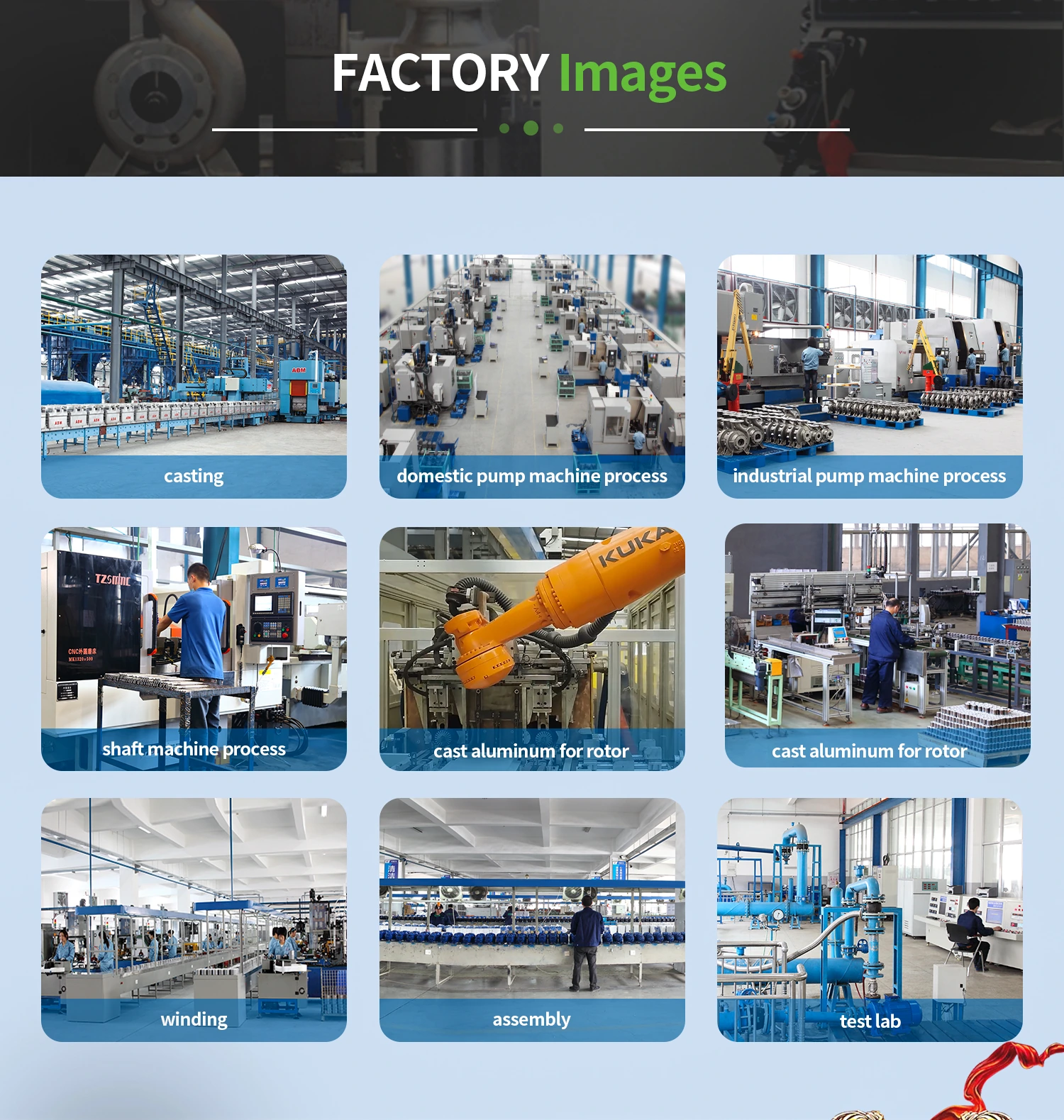 company profile3.webp