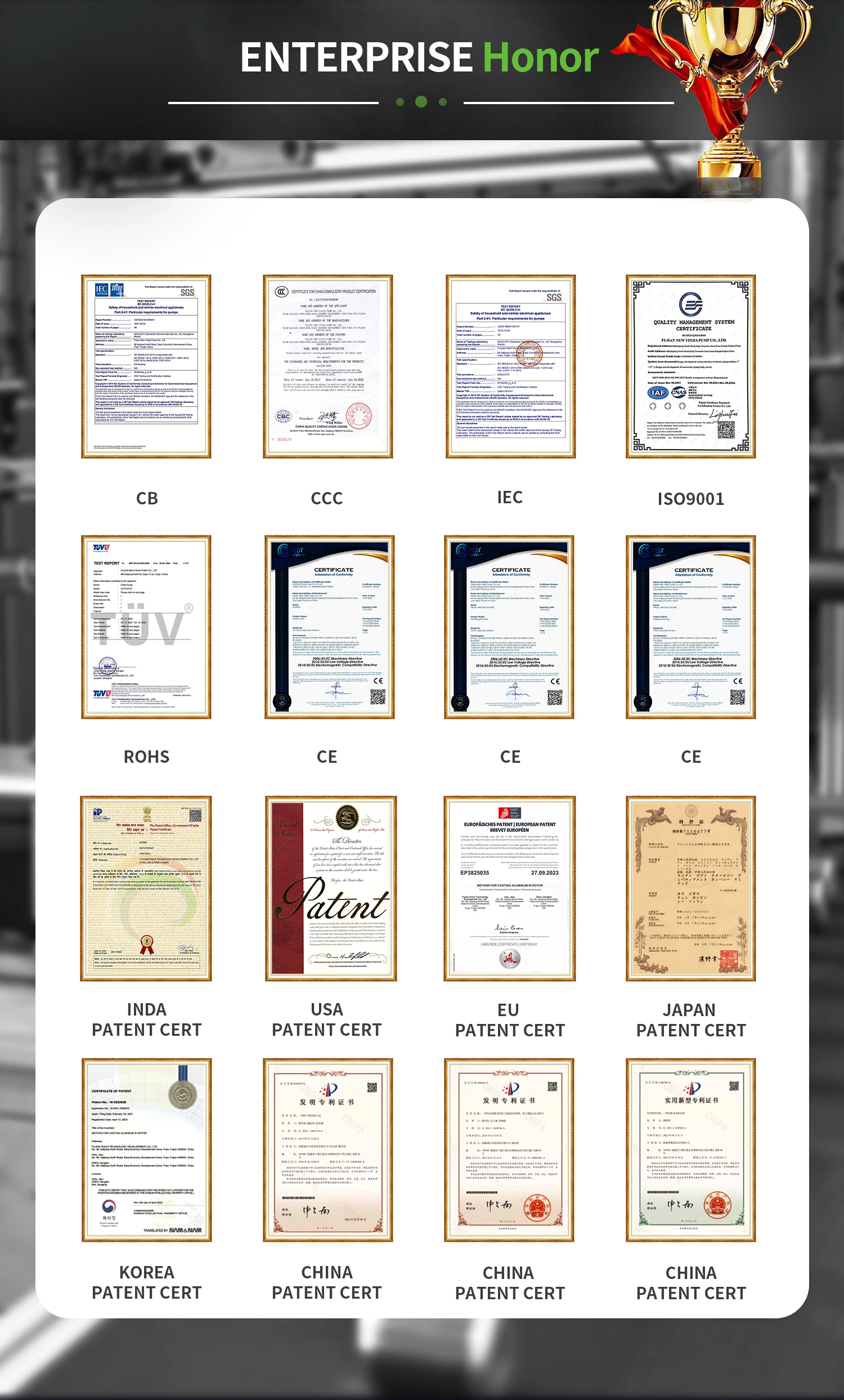 company profile4.webp
