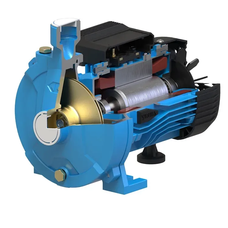 YINJIA CM centrifugal pump cutaway view showing impeller and motor structure